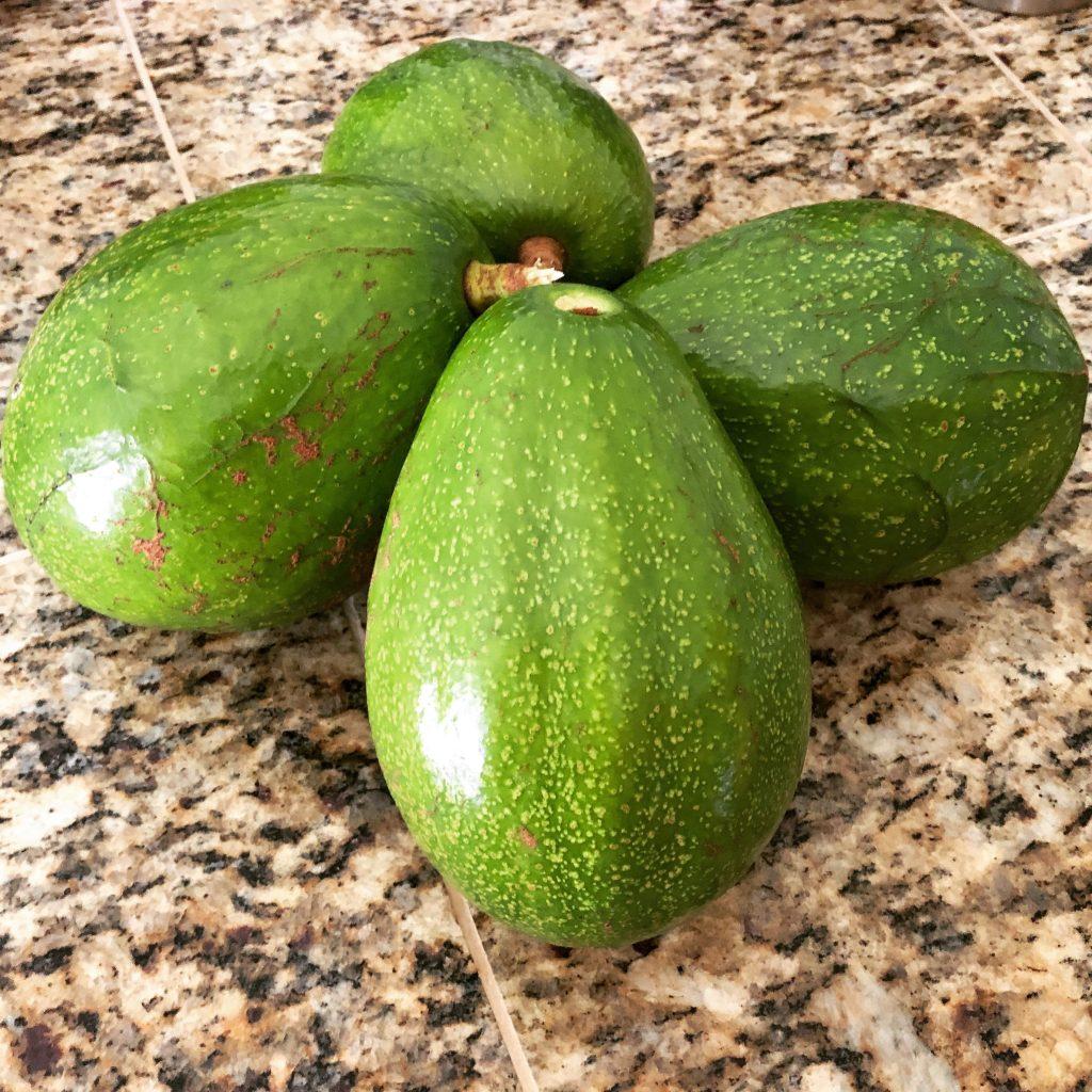 4 green avocados